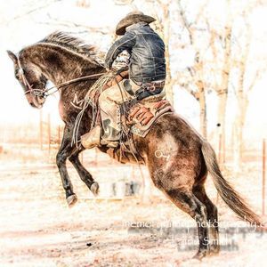 Meet your Posher, Jose